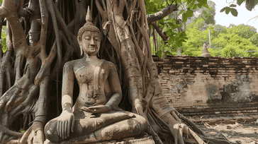 Ayutthaya Adventures: Ancient Ruins in Thailand